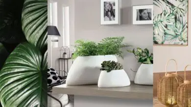 Photo of Arredamento interno con piante della casa