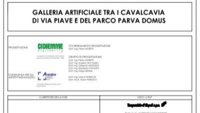 Photo of Cause di smorzamento della carota: motivi per il fallimento delle piantine di carota