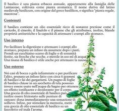 Photo of Coltivazione di Clara Sage: godere di Clara Sage Grass nel vostro giardino
