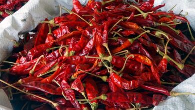 Photo of Conservazione del peperoncino – Come essiccare il peperoncino