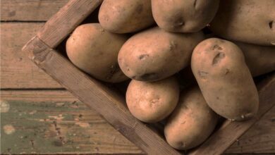 Photo of Conservazione delle patate dopo la raccolta: come conservare le patate nell’orto