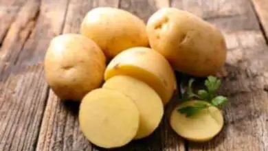 Photo of Cos’è la dolcificazione a freddo – Come evitare la dolcificazione a freddo delle patate