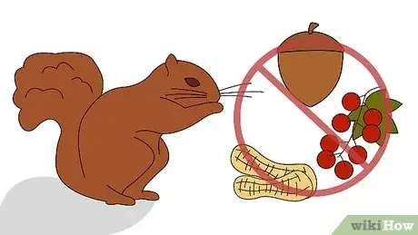Photo of Eliminare gli scoiattoli utilizzando un repellente per scoiattoli o altri metodi di controllo degli scoiattoli