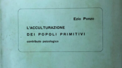 Photo of Gestione dei parassiti del lanciatore: per saperne di più sui parassiti del lanciatore