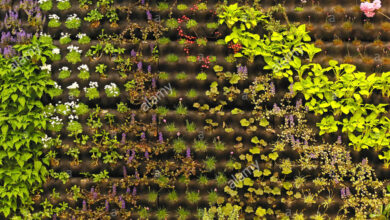 Photo of Giardinaggio verticale