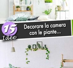 Photo of Idee per le piante da camera da letto: selezione di piante da camera da letto