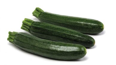 Photo of Indurimento delle zucchine – Come conservare le zucchine durante l’inverno