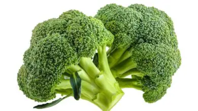 Photo of Informazioni sui broccoli – Coltivazione di piante di broccoli per neonati