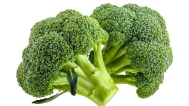 Photo of Informazioni sui broccoli – Coltivazione di piante di broccoli per neonati