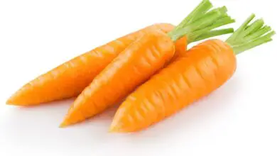 Photo of Informazioni sulle carote Chantenay: Guida alla coltivazione delle carote Chantenay
