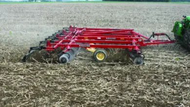 Photo of Lavorazione del terreno contro i vantaggi del no-till