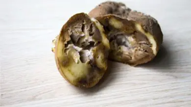 Photo of Marciume secco della patata: cosa causa il marciume secco della patata?