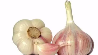Photo of My Garlic Fell – Come riparare le piante di aglio cadute