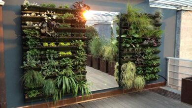 Photo of Orti interni: creare un giardino interno