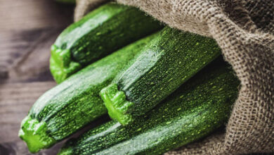 Photo of Problemi con le zucchine: cosa causa gli urti sulle zucchine?