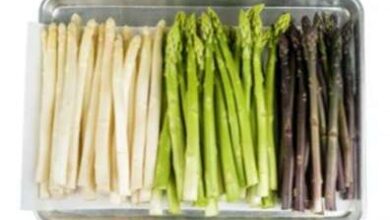Photo of Tipi di asparagi – Scopri le diverse varietà di asparagi