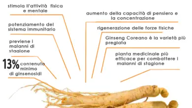 Photo of Usi comuni del ginseng: per cosa viene utilizzato il ginseng