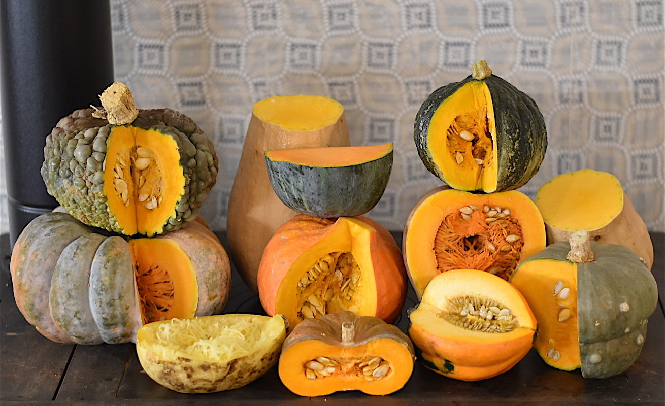 Varietà di zucca comuni le migliori varietà e tipi di zucche da