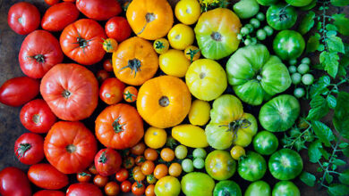 Photo of Varietà e colori dei pomodori : Scopri i diversi colori dei pomodori