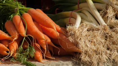 Photo of Verdure fai da te: motivi per piantare verdure fai da te