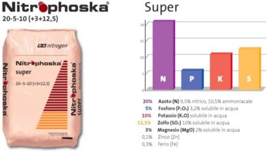 Photo of 10-10-10 Concimi: cosa sono, e il modo giusto e sbagliato di usarli