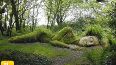 Photo of 10 giardini epici della storia
