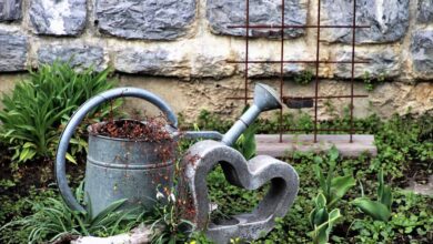 Photo of 10 idee per preparare il vostro giardino alla primavera