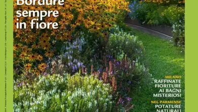 Photo of 100 idee di giardino succulente per rendere il vostro giardino unico e intrigante