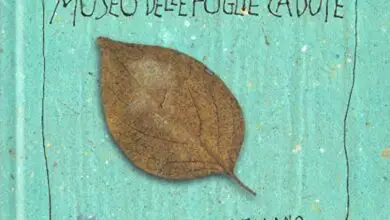 Photo of 12 Usi di foglie morte nel vostro giardino