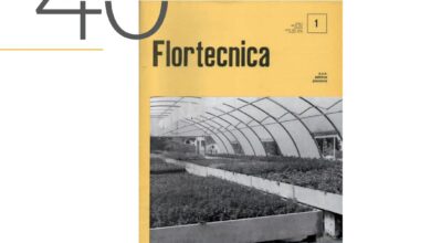 Photo of 14 Lista di controllo e compiti per il giardinaggio autunnale