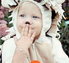 Photo of 15 fatti di riccio per i bambini