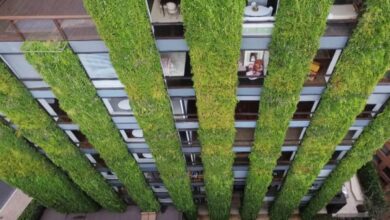 Photo of 2 opzioni di irrigazione verticale del giardino per mantenere viva e fiorita la parete