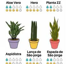 Photo of 23 piante difficili da uccidere per giardinieri indaffarati o principianti