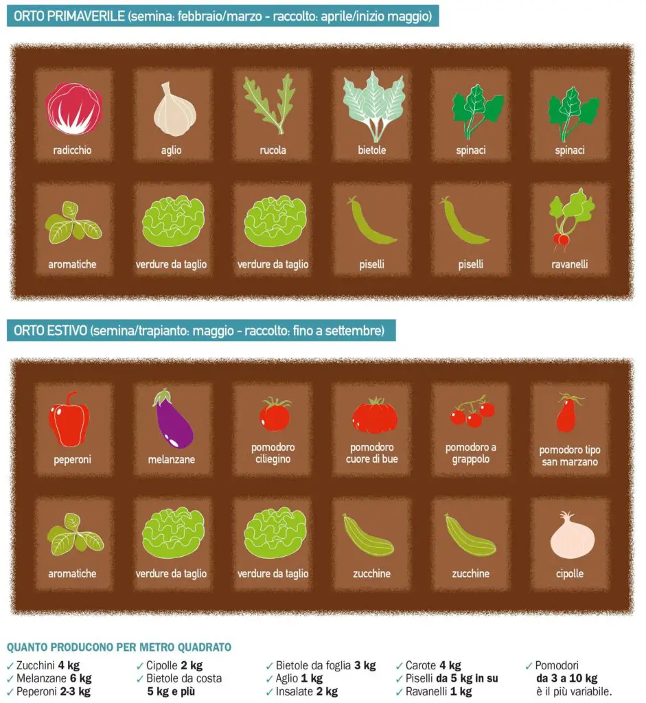 24 nuovi ortaggi che possono essere facilmente coltivati in casa Il