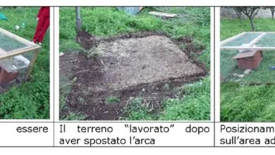 Photo of 3 semplici modi per migliorare radicalmente il terreno utilizzando il compost da trincea