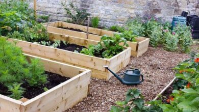 Photo of 9 consigli per migliorare la qualità del terreno del vostro giardino e ottenere raccolti migliori