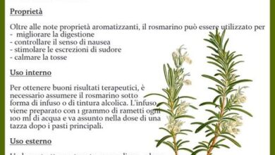 Photo of Abbronzatura comune: consigli per il controllo delle erbacce abbronzanti