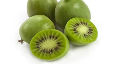 Photo of Actinidia arguta Kiwai, Kiwi siberiano, Kiwi estivo