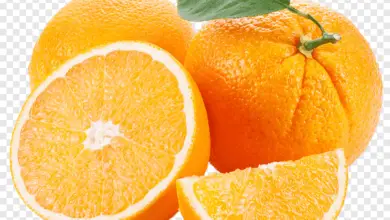 Photo of Arancia amara, limone, mandarino, arancia, pompelmo, clementina