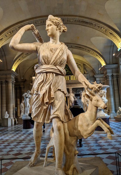Artemis - Il Giardino Commestible