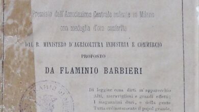 Photo of Balsamo per l’apicoltura: la guida completa alla semina, alla coltivazione e alla raccolta del balsamo per l’apicoltura