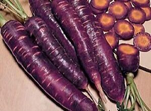 Photo of Carota Vola