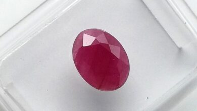 Photo of Cisto x porpora cisto porpora