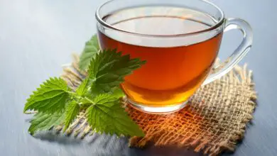 Photo of Coltivare il tè a casa – Per saperne di più sulla cura della pianta del tè in vaso