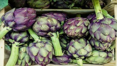 Photo of Coltivazione dei carciofi: la guida completa alla semina, alla cura e alla raccolta dei carciofi