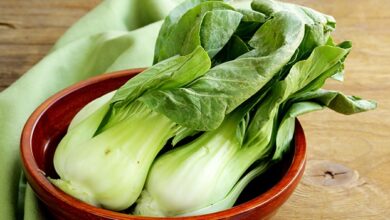 Photo of Coltivazione di Bok Choy : La guida completa alla semina, alla cura e alla raccolta di Bok Choy