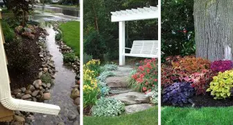 Photo of Come costruire un giardino pluviale nel vostro giardino