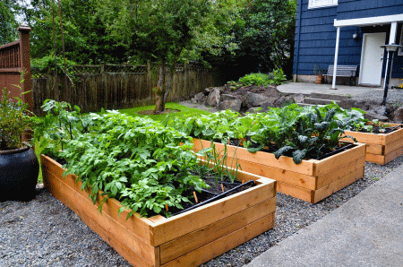 Photo of Come creare aiuole da giardino rialzate con i rifiuti di legno