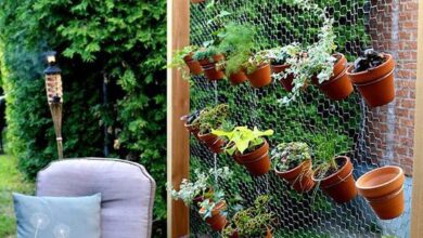 Photo of Come creare un giardino murale con le erbe aromatiche