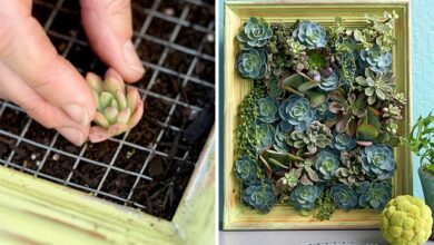 Photo of Come creare un giardino pensile di verdure fresche a portata di mano
